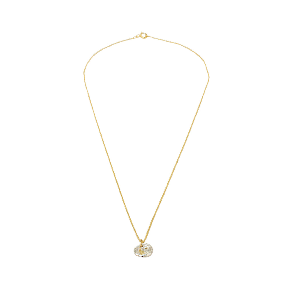 collier bedel zilver en goud